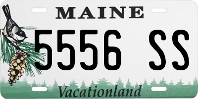 ME license plate 5556SS