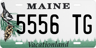 ME license plate 5556TG