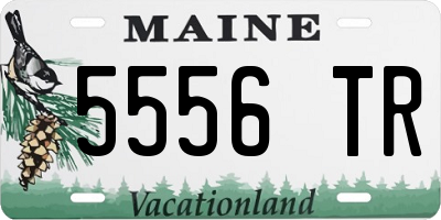 ME license plate 5556TR