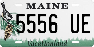 ME license plate 5556UE