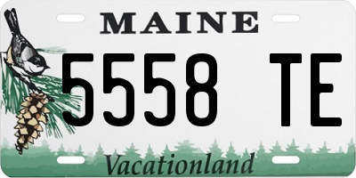 ME license plate 5558TE