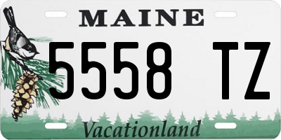 ME license plate 5558TZ