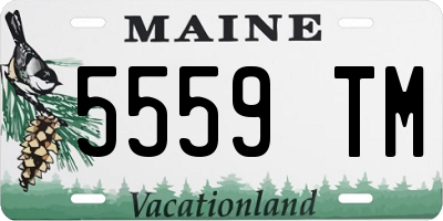 ME license plate 5559TM