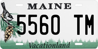ME license plate 5560TM