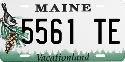 ME license plate 5561TE