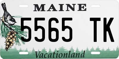 ME license plate 5565TK