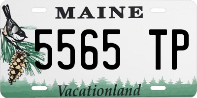 ME license plate 5565TP