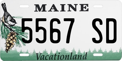 ME license plate 5567SD