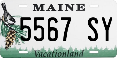ME license plate 5567SY