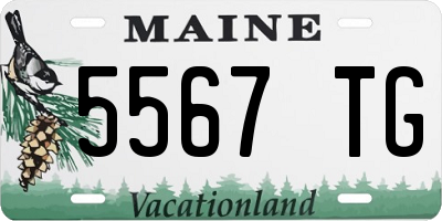 ME license plate 5567TG