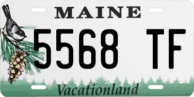 ME license plate 5568TF