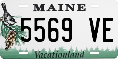ME license plate 5569VE