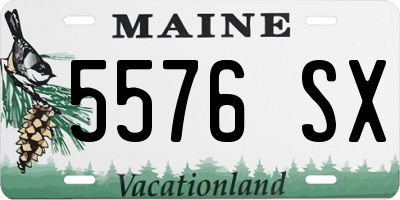 ME license plate 5576SX