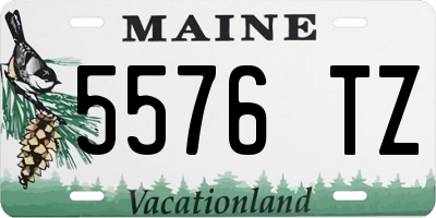 ME license plate 5576TZ