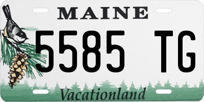ME license plate 5585TG