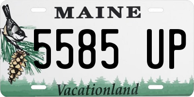 ME license plate 5585UP