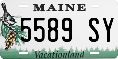 ME license plate 5589SY