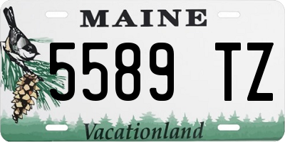 ME license plate 5589TZ