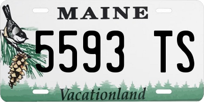ME license plate 5593TS