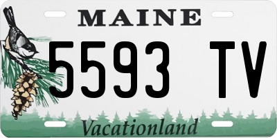 ME license plate 5593TV