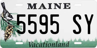 ME license plate 5595SY