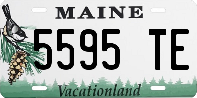 ME license plate 5595TE