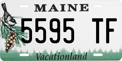 ME license plate 5595TF