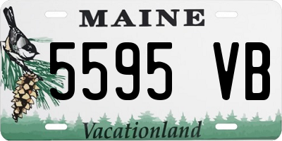 ME license plate 5595VB