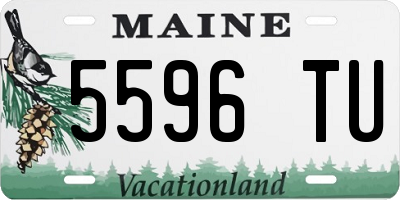 ME license plate 5596TU