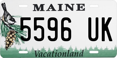 ME license plate 5596UK