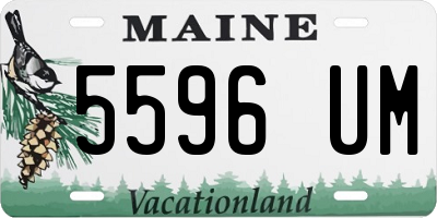 ME license plate 5596UM