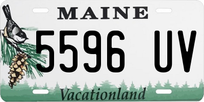 ME license plate 5596UV