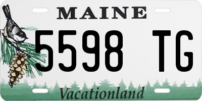 ME license plate 5598TG