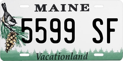 ME license plate 5599SF