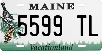 ME license plate 5599TL