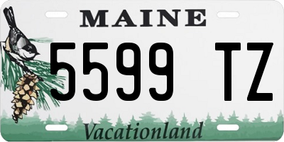 ME license plate 5599TZ