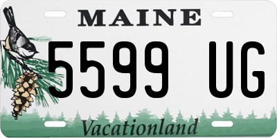 ME license plate 5599UG