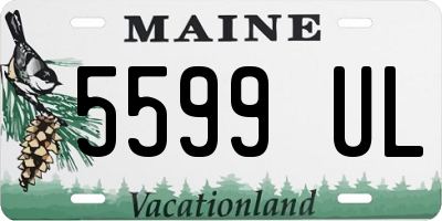 ME license plate 5599UL