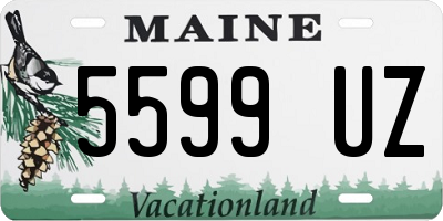 ME license plate 5599UZ