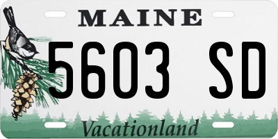 ME license plate 5603SD