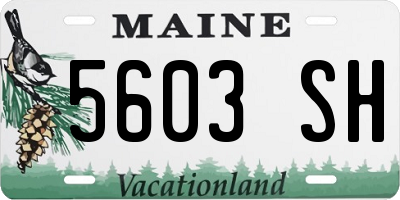 ME license plate 5603SH