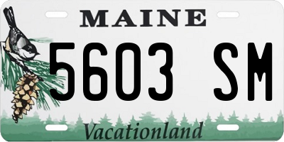 ME license plate 5603SM