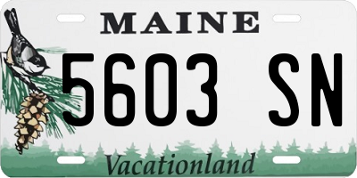 ME license plate 5603SN