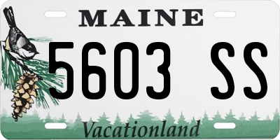 ME license plate 5603SS