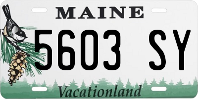ME license plate 5603SY