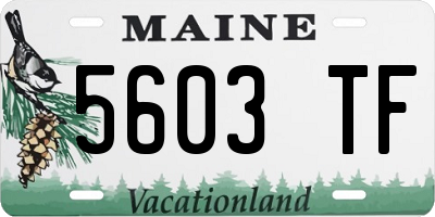 ME license plate 5603TF