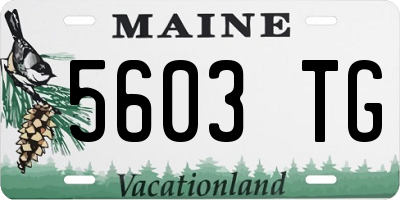 ME license plate 5603TG