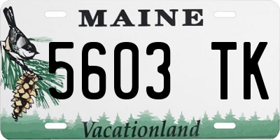ME license plate 5603TK