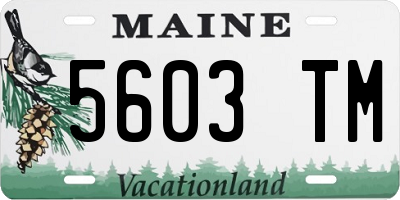 ME license plate 5603TM