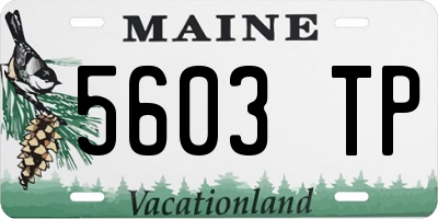 ME license plate 5603TP